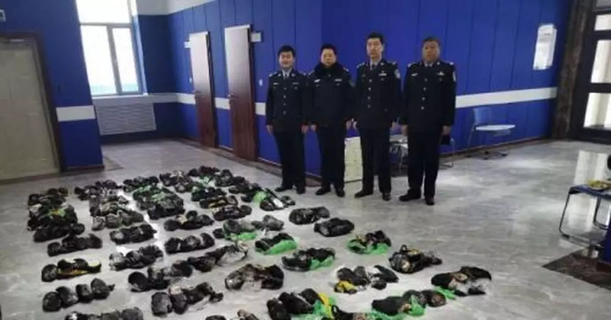 黑龍江警方破獲走私珍貴野生動物案 查獲熊掌214隻