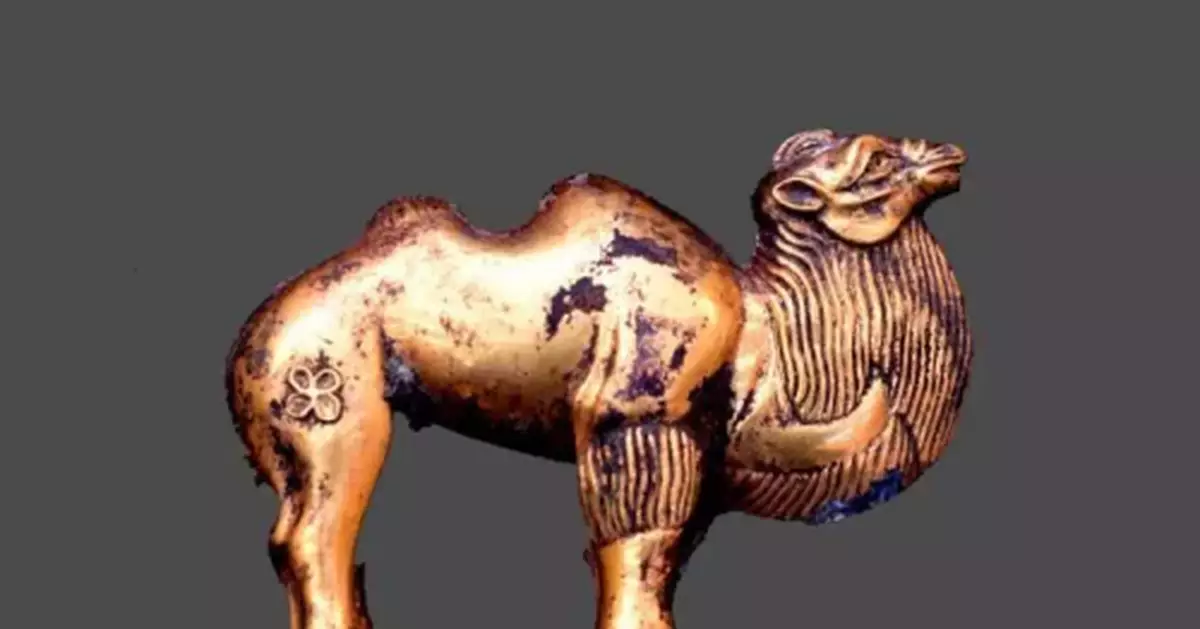 秦始皇陵考古新進展：出土「金駱駝」等大批珍貴文物