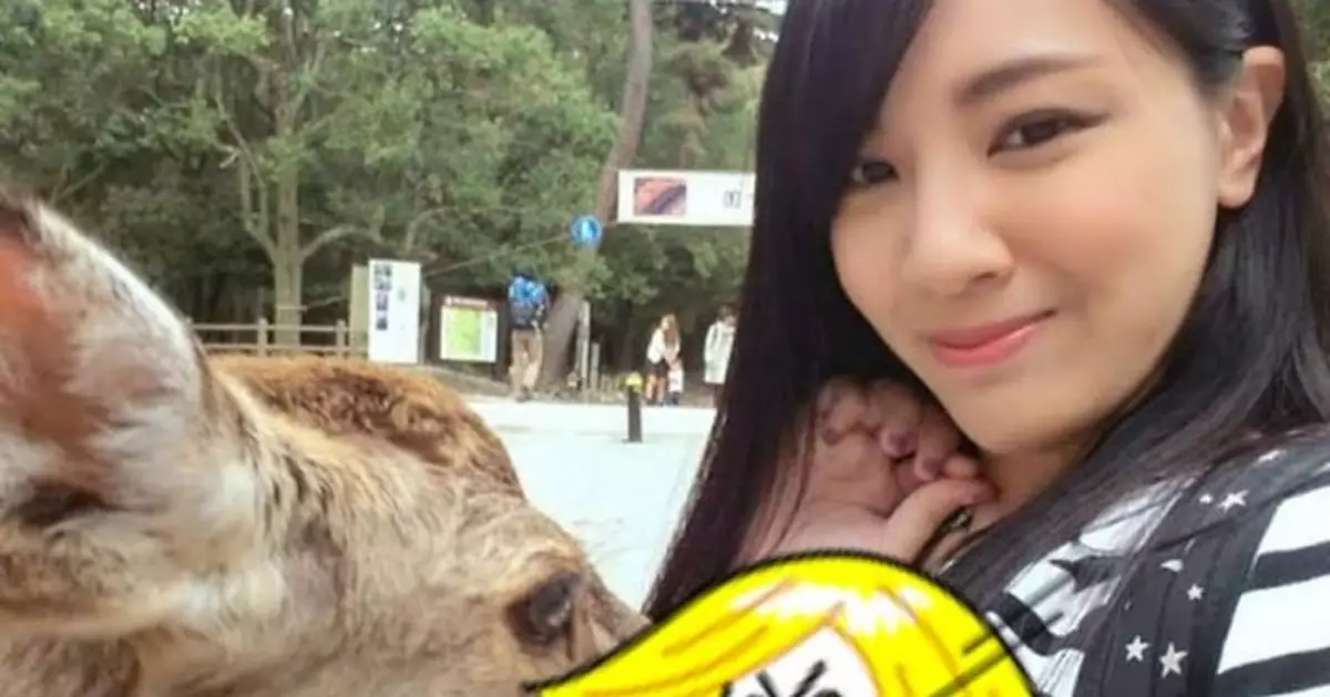 正妹和小鹿合照 下一秒嫩胸慘被啃（圖）