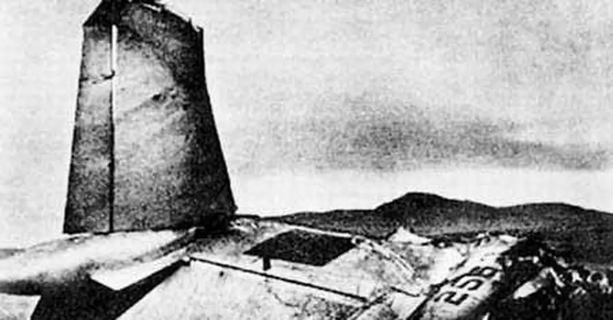 林彪墜機報告曝光：機上有搏鬥 非迫降墜毀