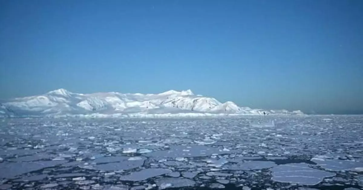 20.75℃！南極地區觀測到有記錄以來最高氣溫