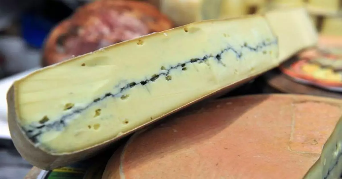 法國一批生乳酪受沙門氏菌污染 已有13人感染