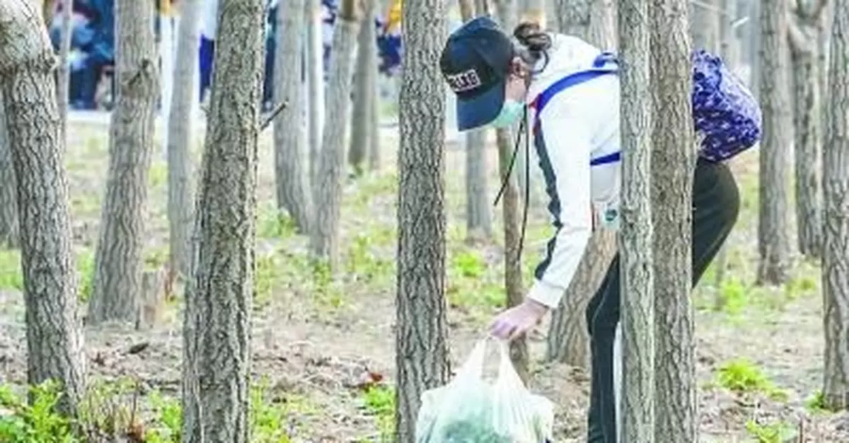 北京市民奧森公園挖野菜 半天勸離二十人