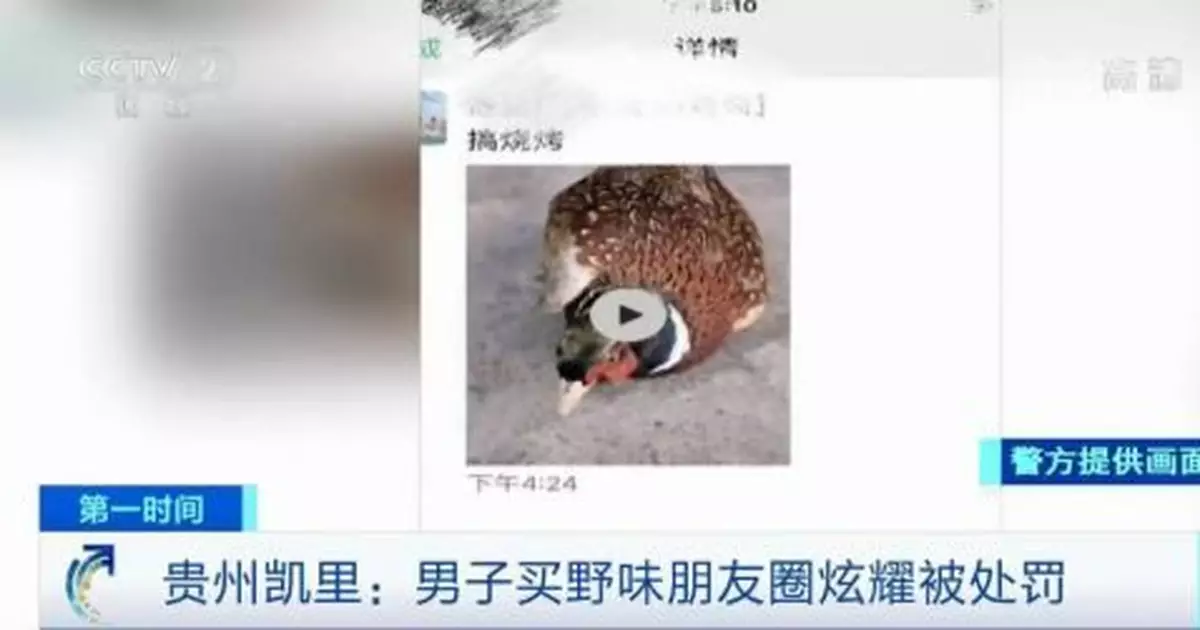 貴州凱里：男子買野味發朋友圈炫耀被處罰
