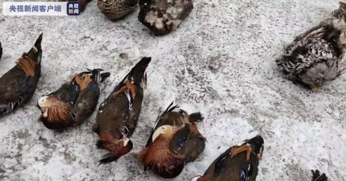 觸目驚心！近百隻珍貴野生動物死體藏於冷庫