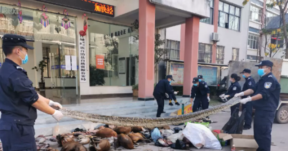雲南森警公開銷毀460公斤野生動物死體及製品