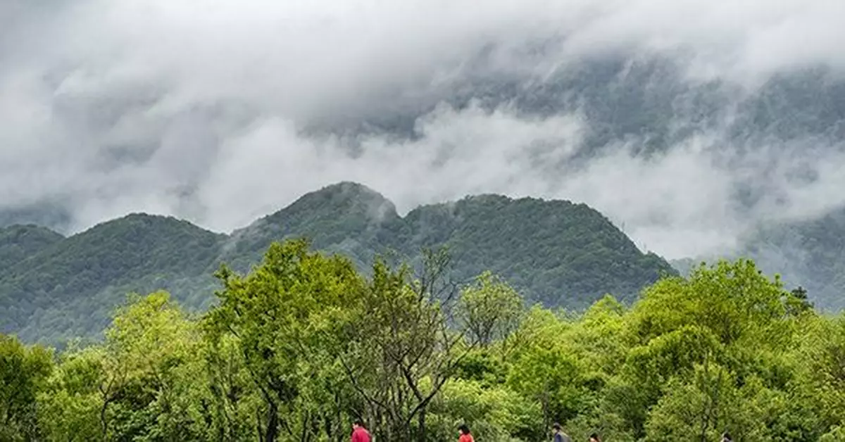 神農架旅遊區恢復開放,所有遊客「五一」前免門票