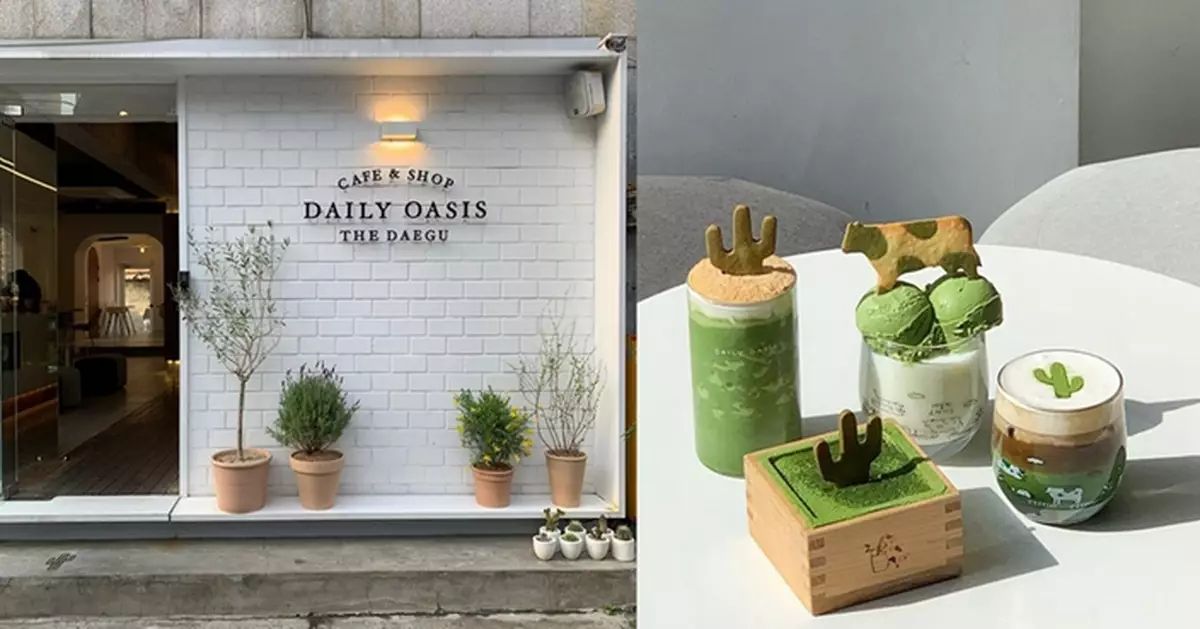 大邱連鎖抹茶咖啡館Daily Oasis 招牌仙人掌元素可愛吸睛