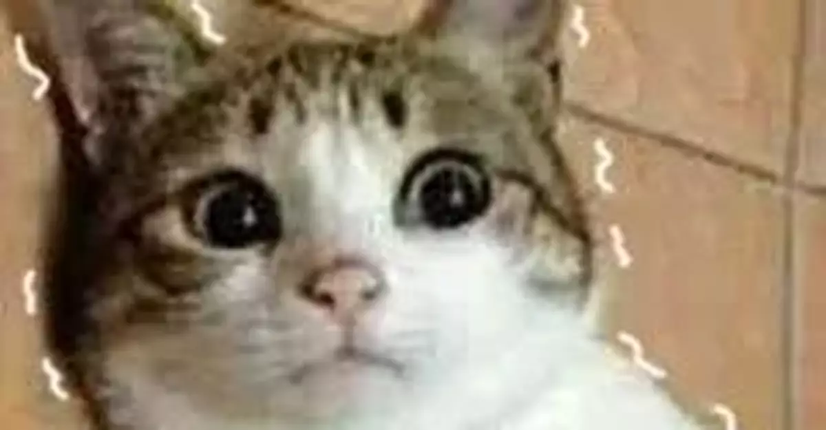 你的身份信息可能被他人綁定微信支付？！速查！