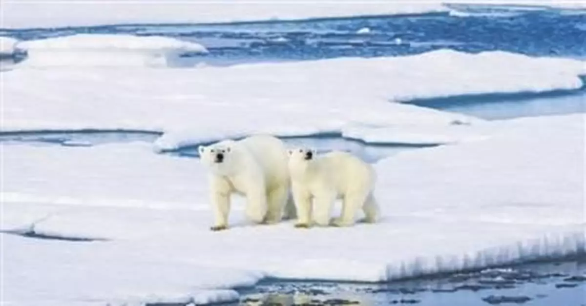 別擔心，北極出現臭氧空洞只是因為太冷了