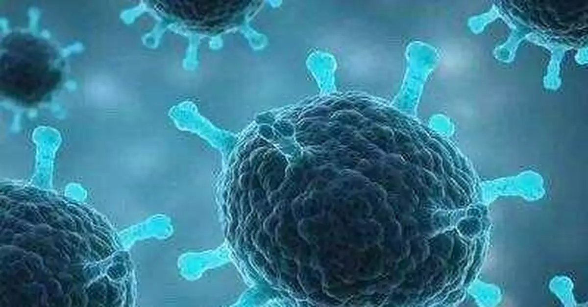 新冠病毒為何如此詭異