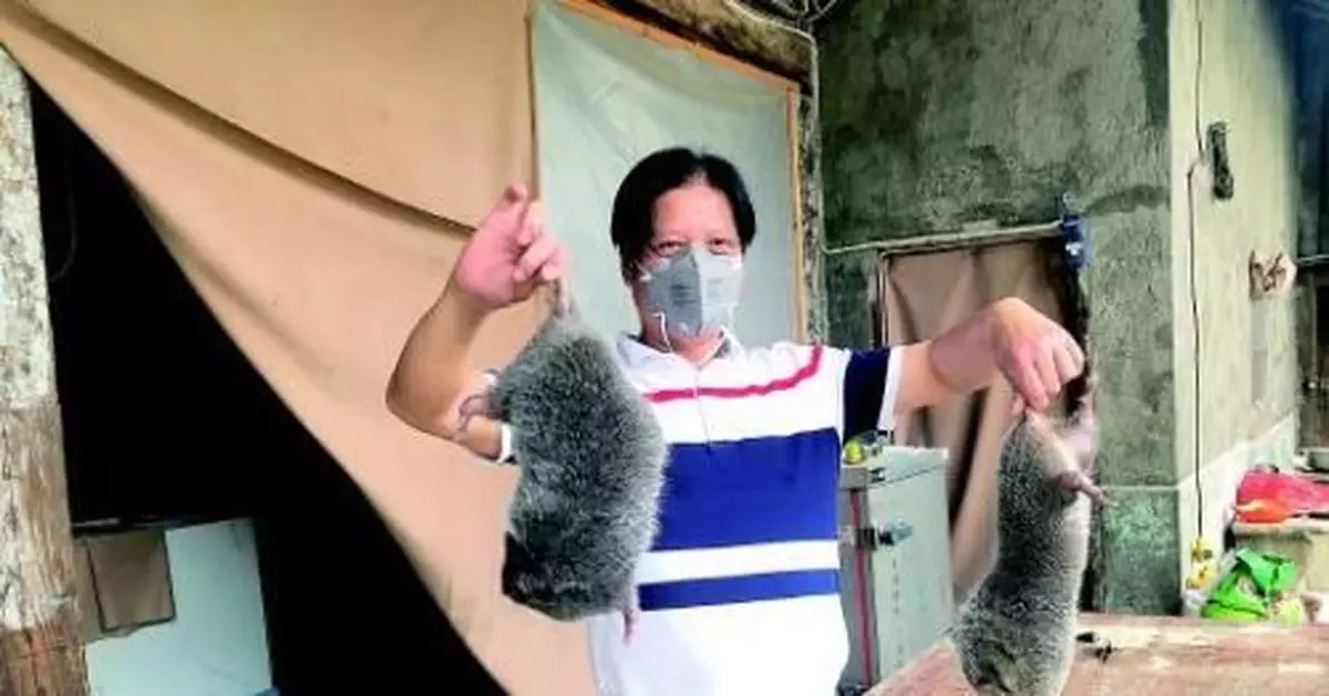 賣不了、養不起 貴州貧困地區養殖戶轉產調查