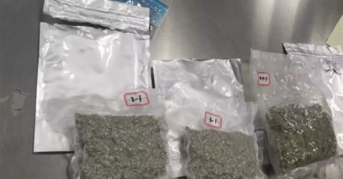 青島海關查獲走私大麻入境案（圖）