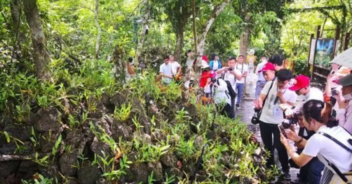「五一」非瓊籍小車過海費減免