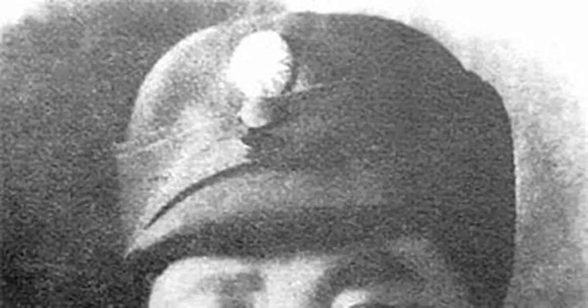 皖南事變：葉挺血戰東流山全團1300多人陣亡