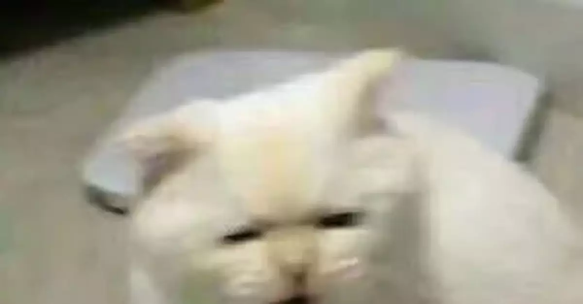 女子被天降口水「砸」中 只能去做核酸檢測