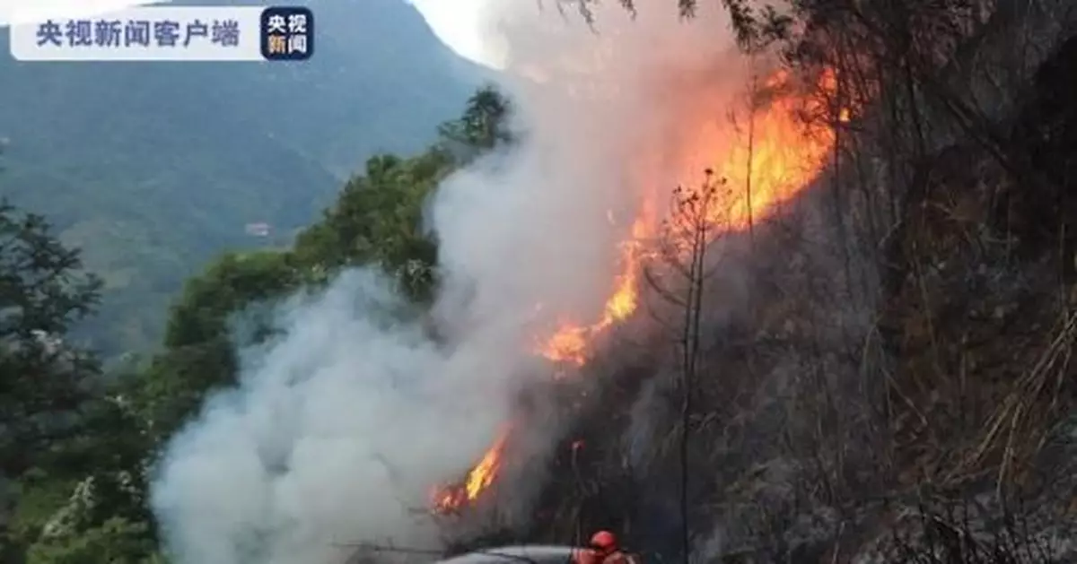福建大田森林火災已全面撲滅 初步調查結果公佈
