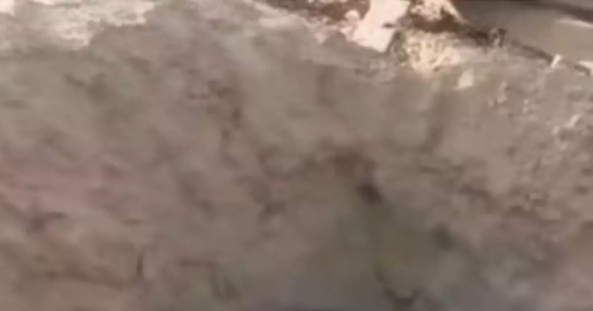 「活埋母親案」檢察官:系重大影響案件 檢方提前介入