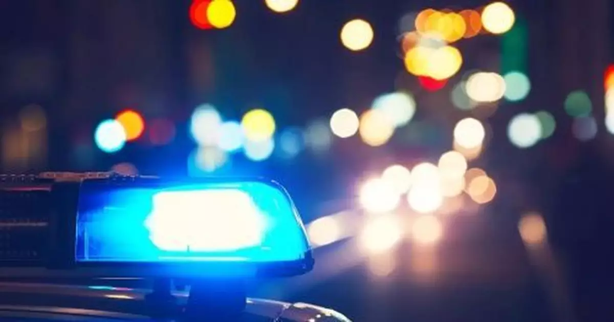 15個省市集中收網，把他們抓了！