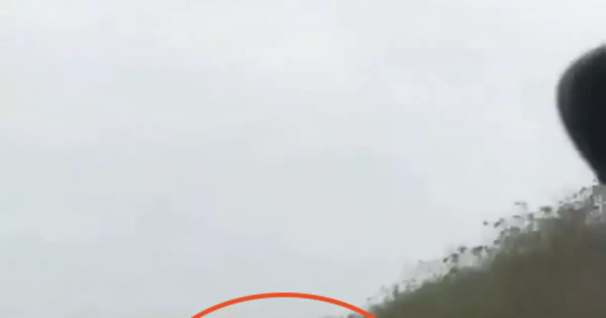 大貨車在京昆高速逆行，警方：9人已刑拘！