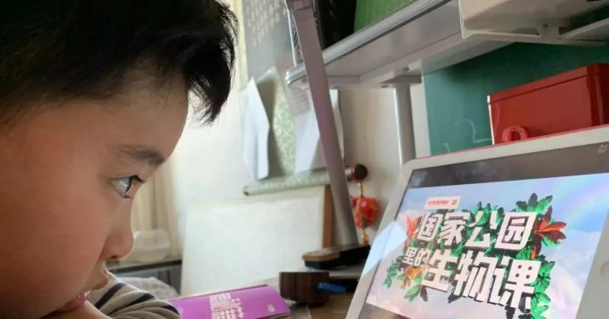 哪些「網課」著作權能得到法律保護？ 法官詳解