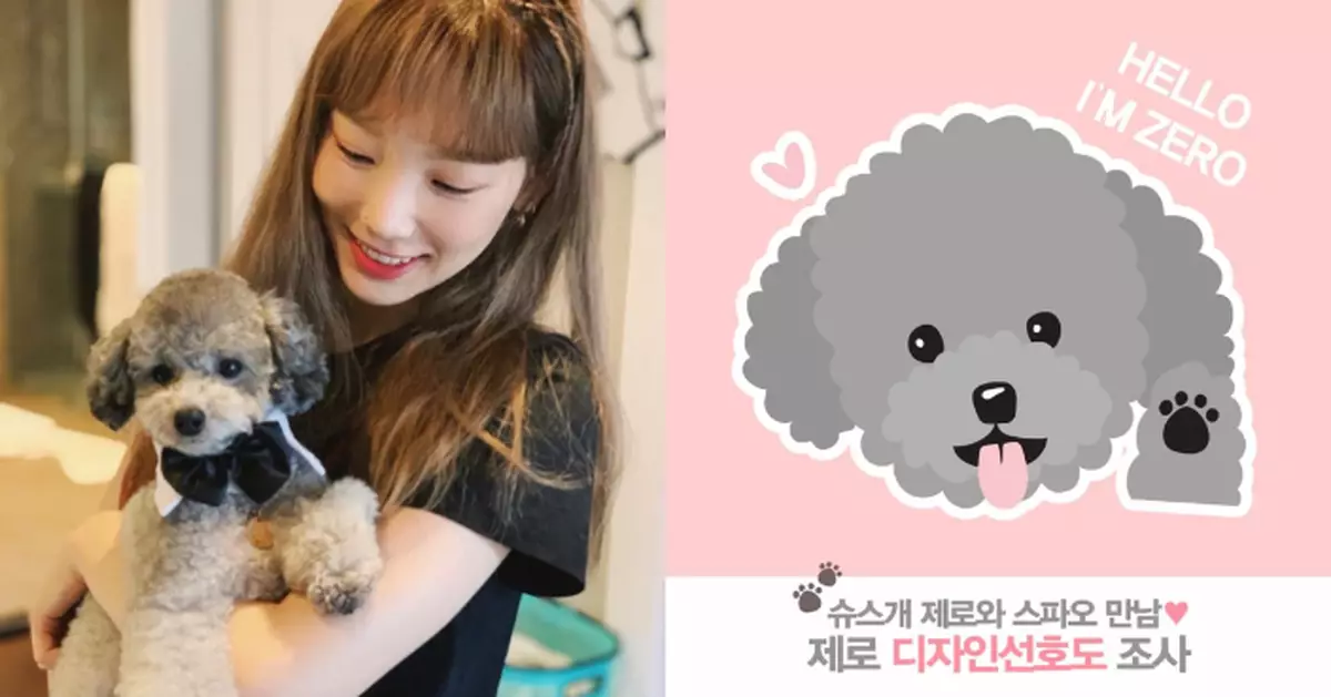 泰妍愛犬Zero要正式出道？將與SPAO合作推出聯乘系列