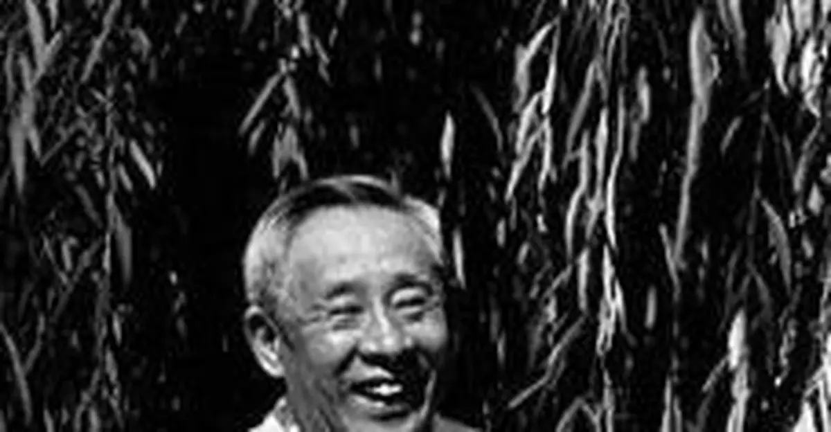 文革廖承志被打倒致宋慶齡閉門不再見人