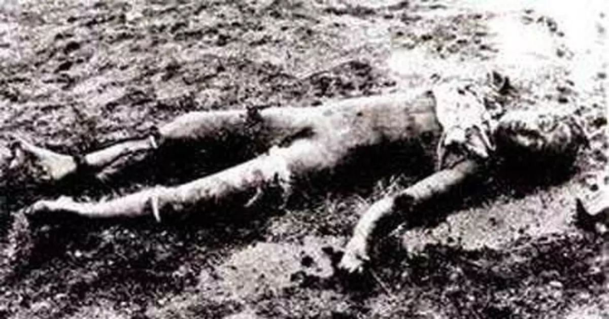 親臨林彪墜機現場：九具屍體頭部多被燒焦（圖）