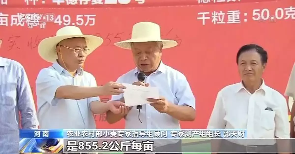 855.2公斤！黃淮冬麥區畝產新紀錄誕生