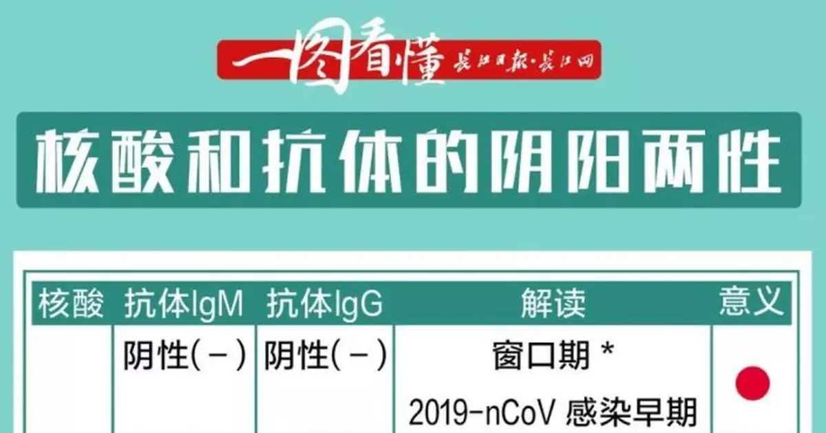 一圖看懂 核酸和抗體的陰陽兩性，分別意味著什麼？