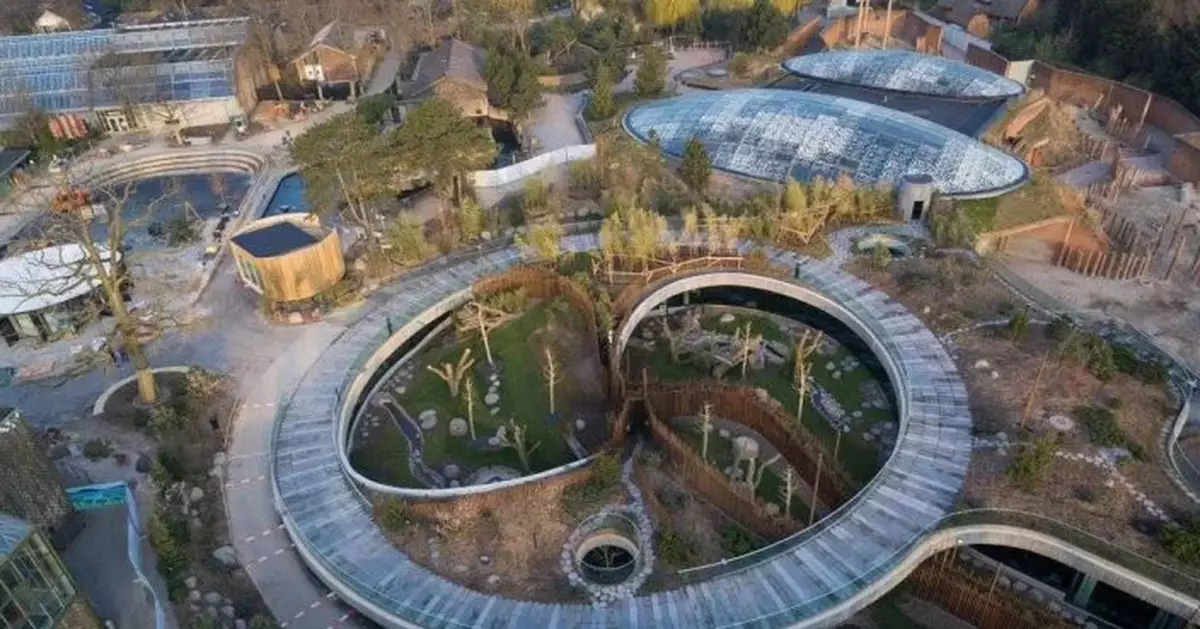 丹麥熊貓館，熊貓跑出來了！