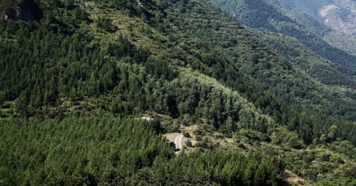 因為這，曾經從北京「出走」的野生動物又回來了！