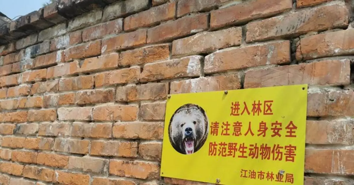 四川黑熊咬死3人 政府補償每位遇難者家屬29萬餘元