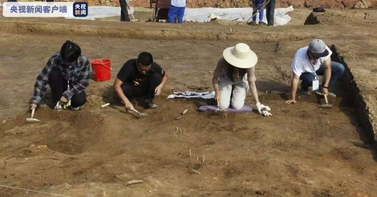 湖北鄂州機場考古重大發現 出土標本近萬件