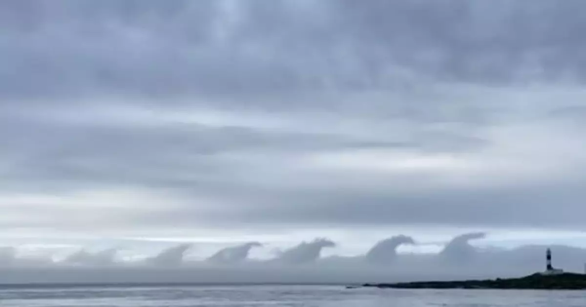 男子拍下神奇一幕：「哥斯拉」海上列隊前行