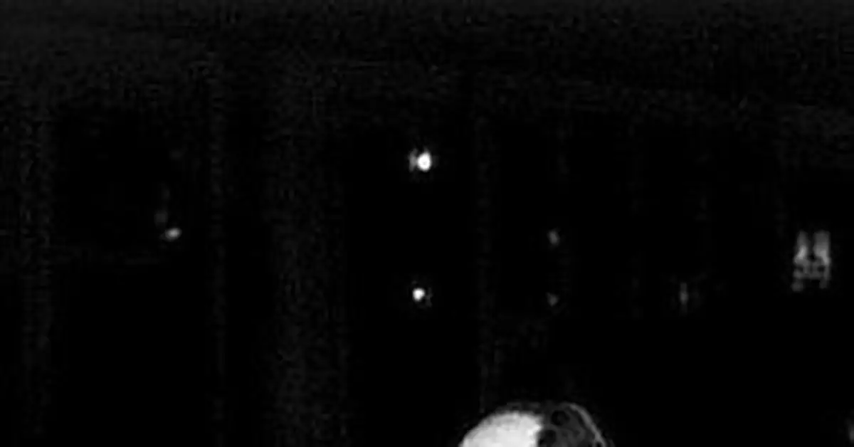 1937年「老革命」對毛澤東跳交誼舞很討厭