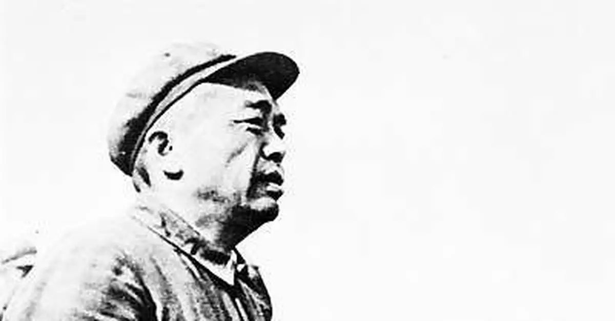 四人幫迫害彭德懷 毛岸英之死是罪名之一