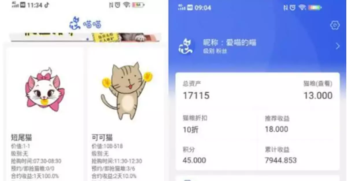 6000多人「雲養貓」被騙 該批的不是「太蠢」