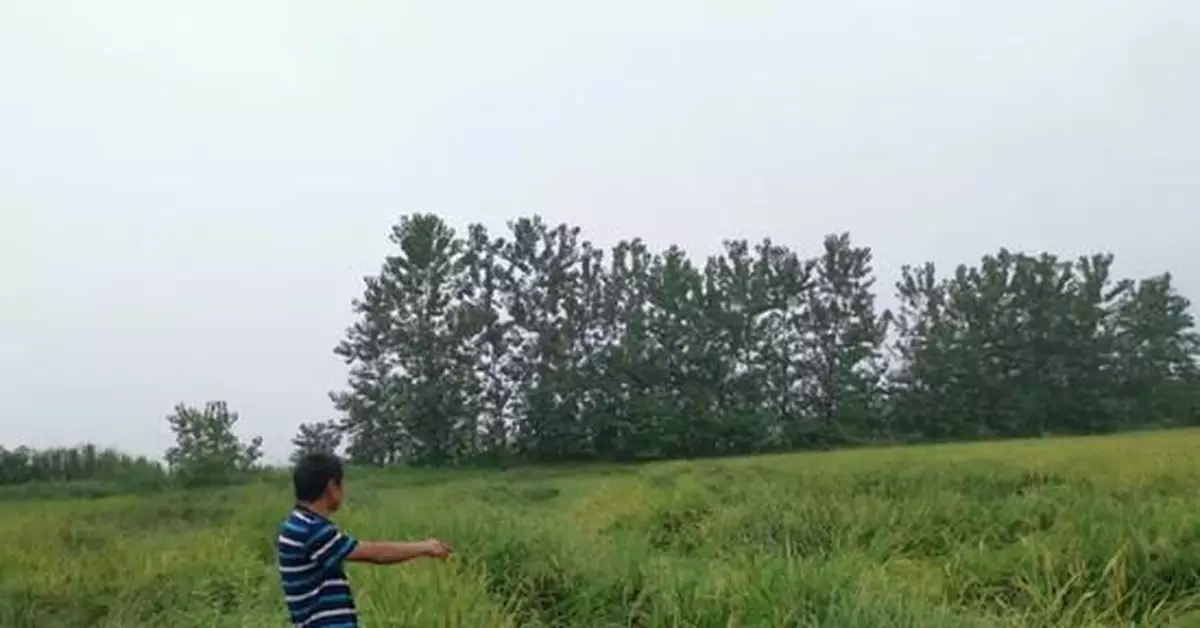 觸目驚心！每年損失掉一個四川省的糧食產量…