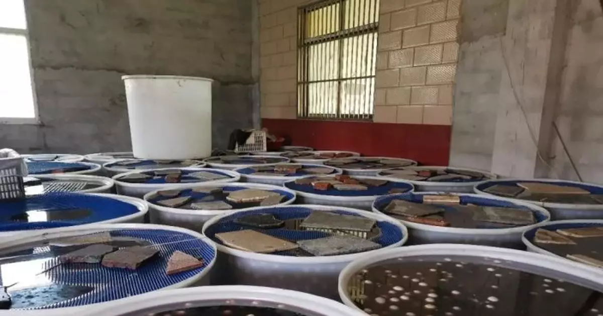 疑似用工業鹽腌制鹹鴨蛋，張家港一加工場所被查