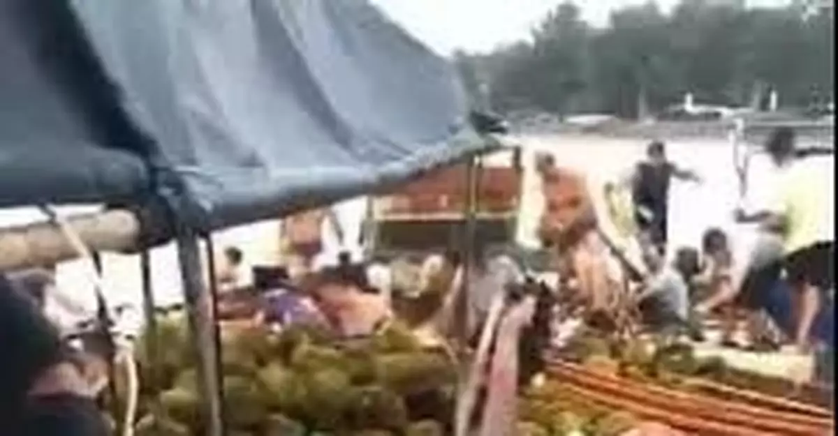 廣西東興523人撿食榴槤中毒系由副溶血性弧菌引起