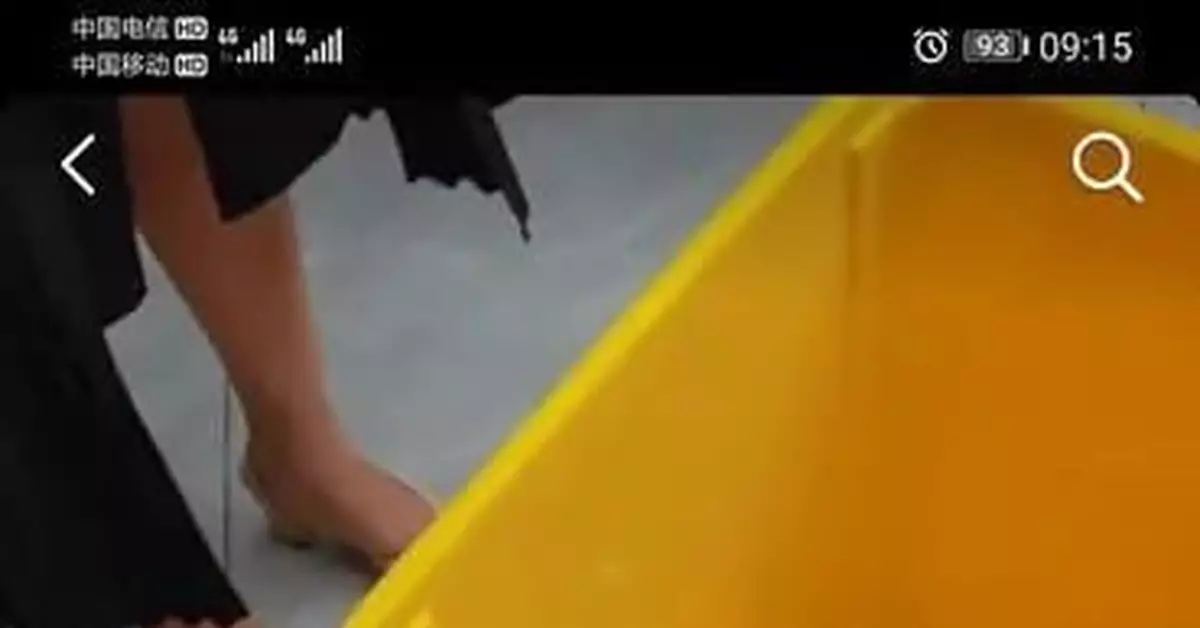 「全是一角的！」女子收6000元離職賠償金都是硬幣