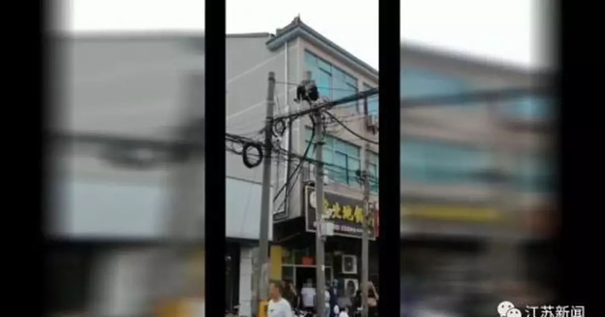 男子爬高壓線致停電8小時 使用呼吸機老人死亡