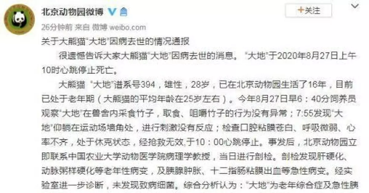 北京動物園28歲大熊貓「大地」因病去世