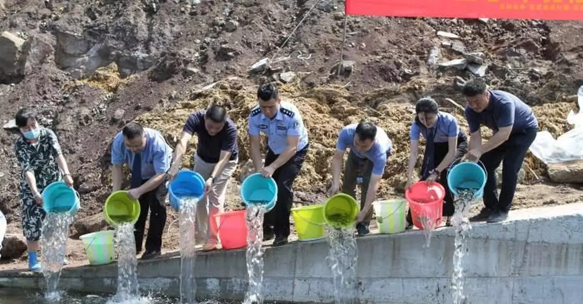 二十萬尾魚苗被放入長江重慶段用於生態補償和修復