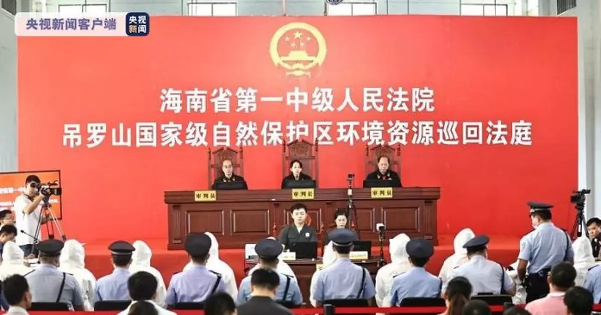 海南吊羅山核心區林木被毀 11名被告人受審獲刑
