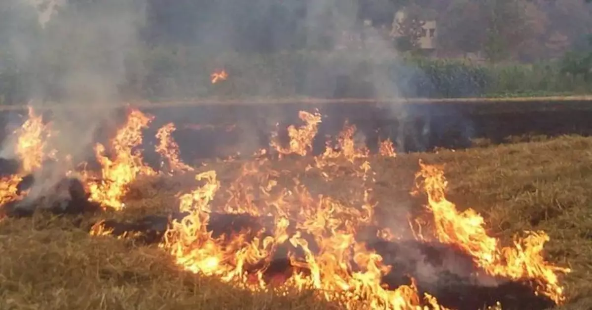 黑龍江近一年禁燒期間問責340人 扣撥資金4070萬