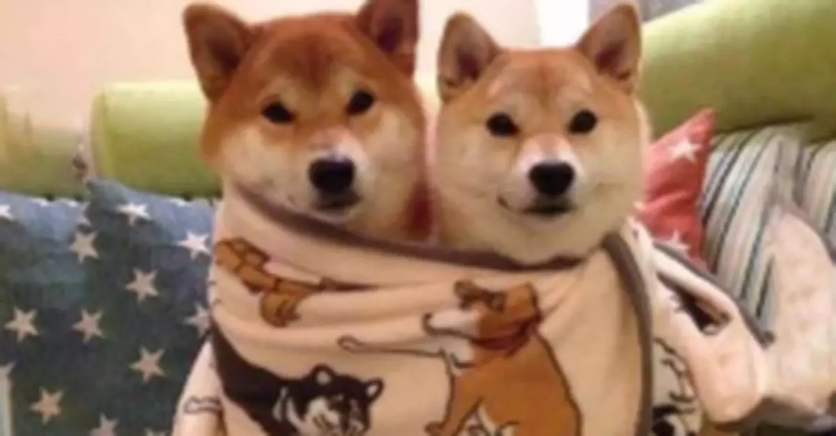 冷҈~冷҈~冷҈~ 你的秋褲準備好了嗎？