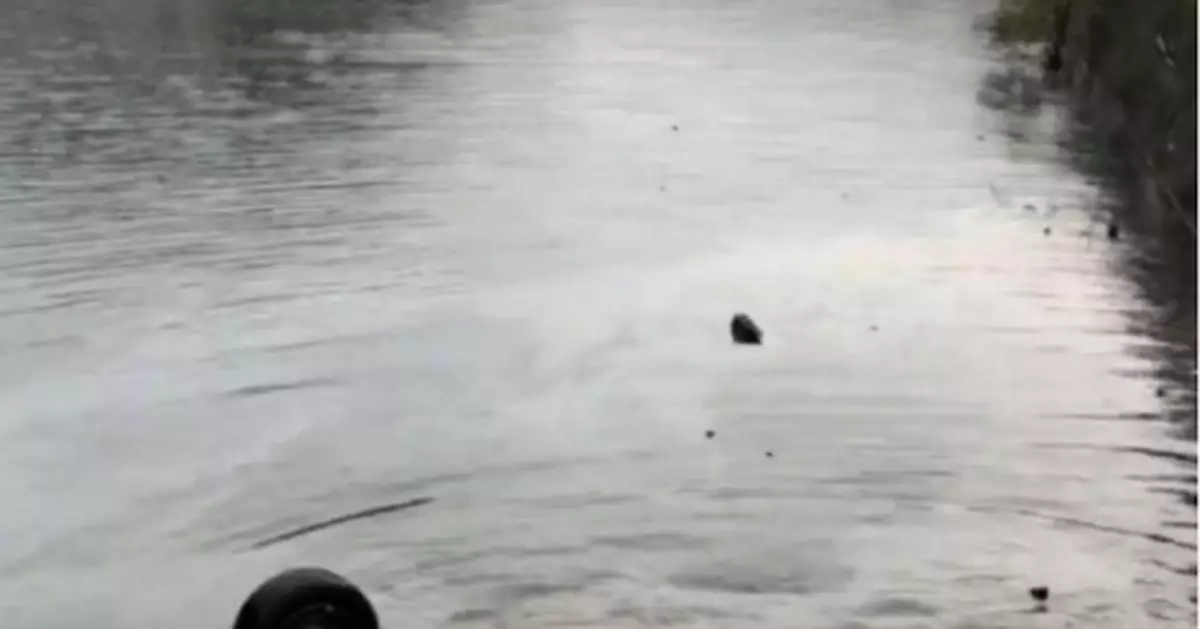 一轎車沖斷護欄墜河致3人亡 其中一人為武漢女副區長