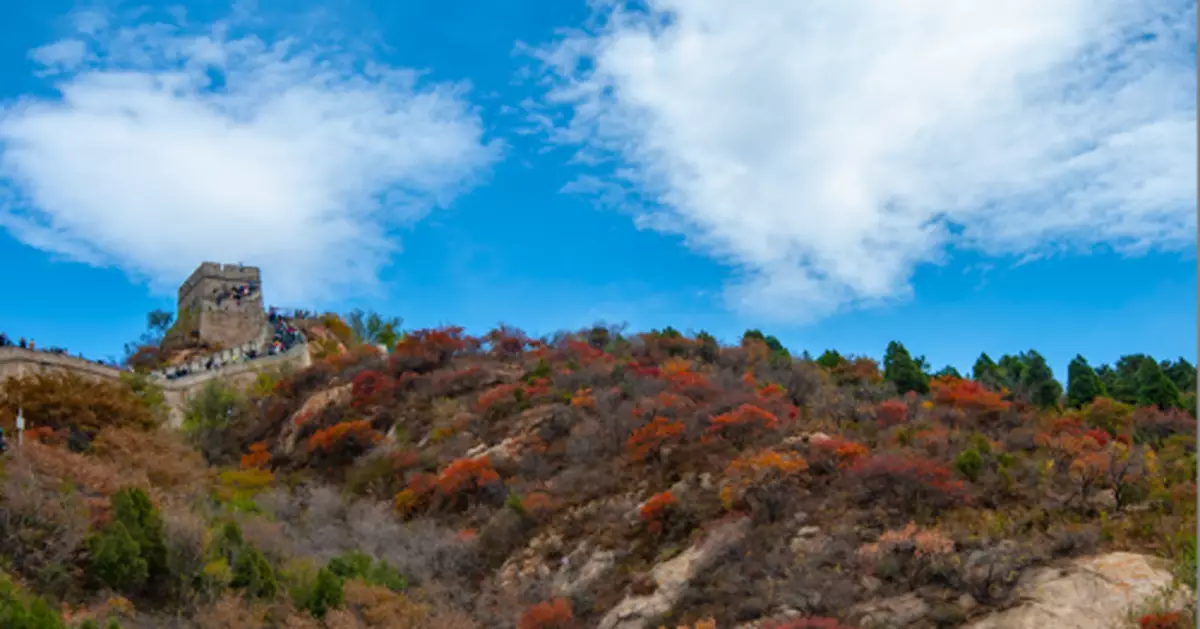 「00後」長城城磚上刻字，罰款200元！